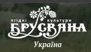 Сибус Макс