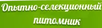 Саженцы рябины Ангри