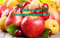 Саженцы яблони Юный натуралист