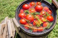 Солено-квашеная продукция