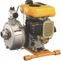 Мотопомпа PTG110 ( 2-тактный )