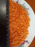 Чечевица красная полированная