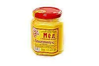 АПИТОНУС Мёд с маточным молочком 230 граммов