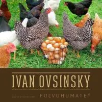Гумат калия-жидкий концентрат. Иван Овсинский Фульвогумат