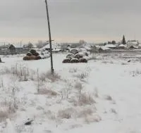 Сено в тюках