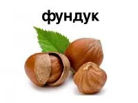 Фундук Ломбардский орех сорт Рояль