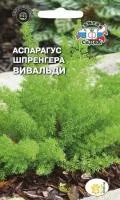 Аспарагус Вивальди(Шпренгера) 0,25Г Седек