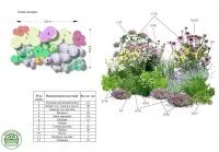 Проектирование цветников, миксбордеров