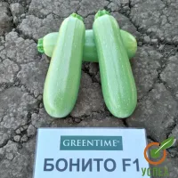 Семена кабачка Бонито F1