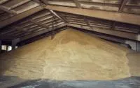 Зерно оптом со склада КФХ