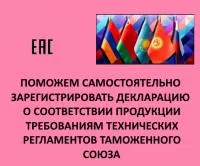 Помощь в самостоятельной регистрации деклараций