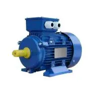 Электродвигатель 5АИ / АИР 100 L4 4/1500 IM 1081